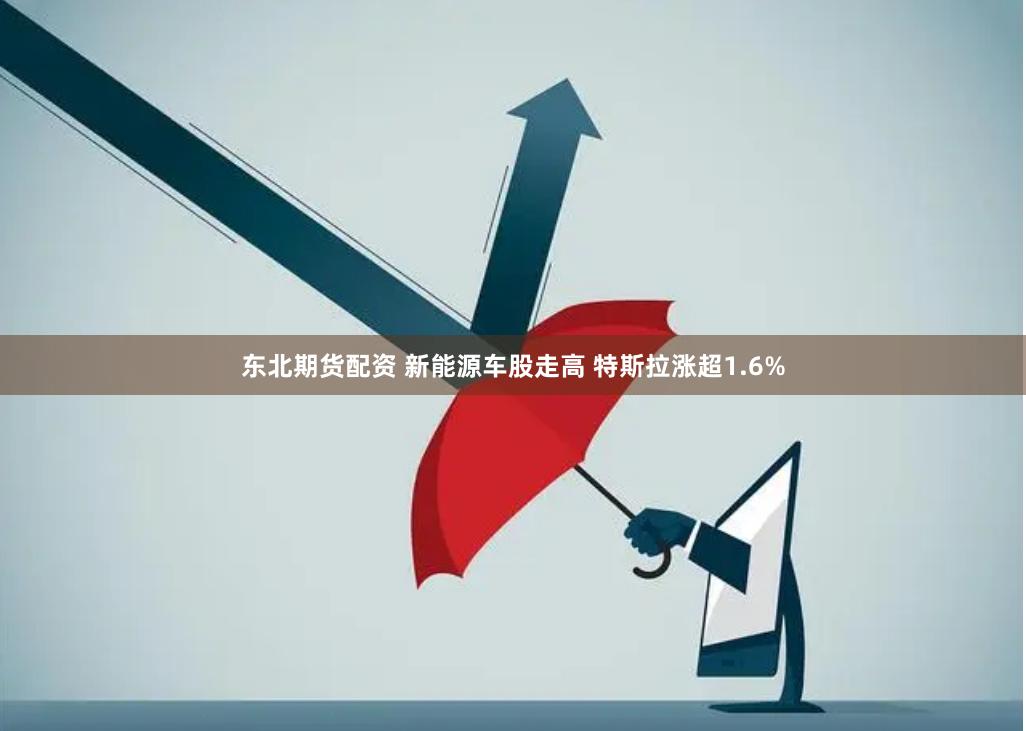 东北期货配资 新能源车股走高 特斯拉涨超1.6%