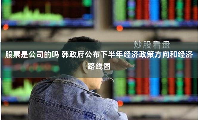 股票是公司的吗 韩政府公布下半年经济政策方向和经济路线图