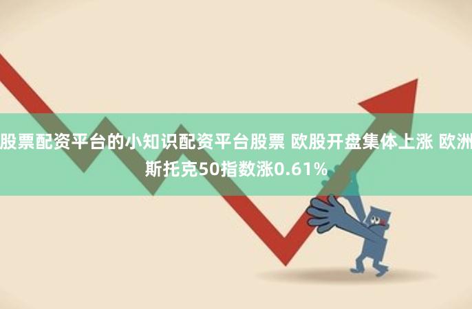 股票配资平台的小知识配资平台股票 欧股开盘集体上涨 欧洲斯托克50指数涨0.61%