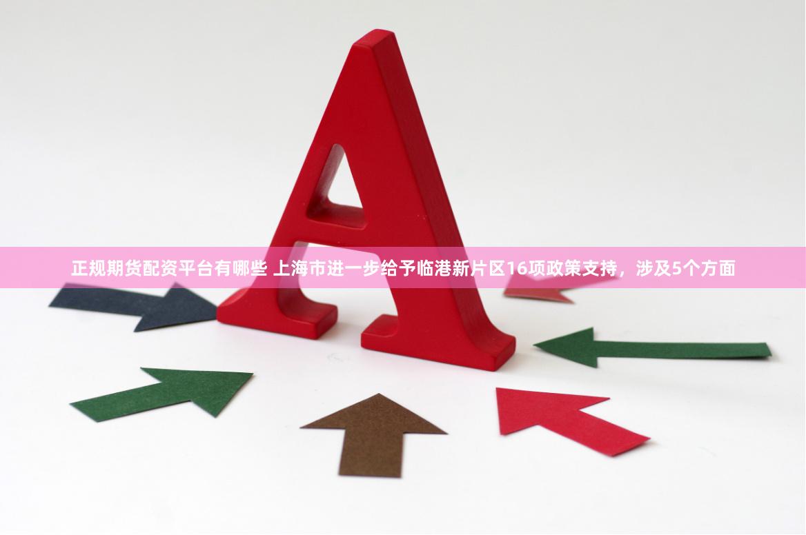 正规期货配资平台有哪些 上海市进一步给予临港新片区16项政策支持，涉及5个方面