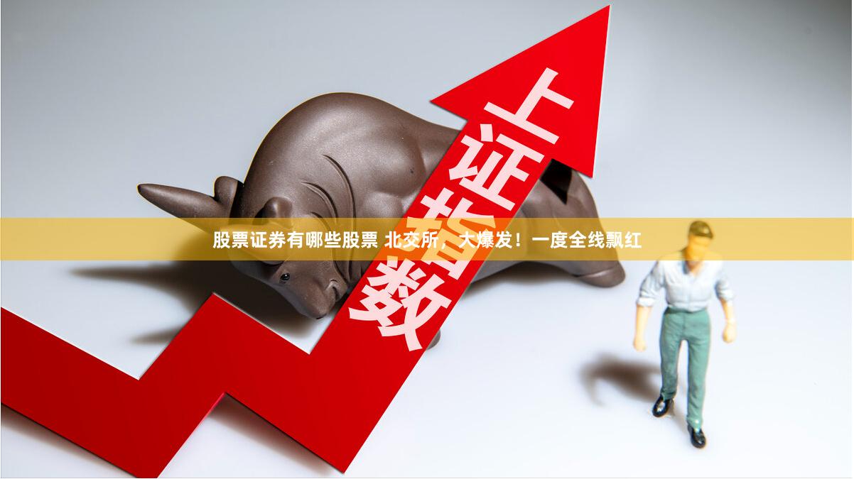 股票证券有哪些股票 北交所，大爆发！一度全线飘红