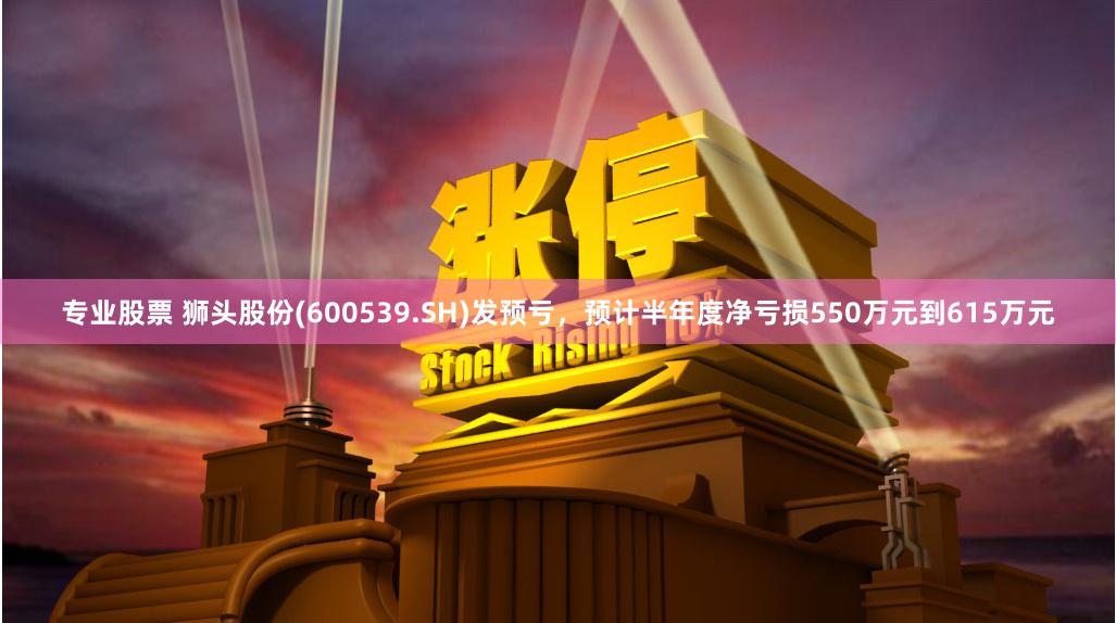 专业股票 狮头股份(600539.SH)发预亏，预计半年度净亏损550万元到615万元