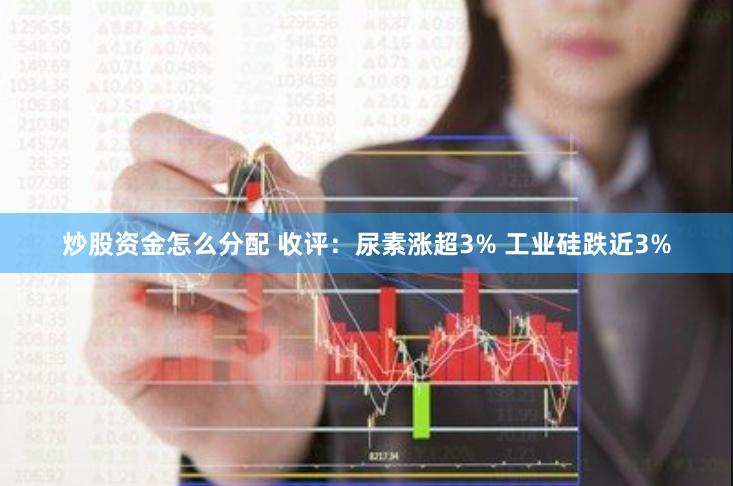 炒股资金怎么分配 收评：尿素涨超3% 工业硅跌近3%
