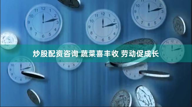 炒股配资咨询 蔬菜喜丰收 劳动促成长