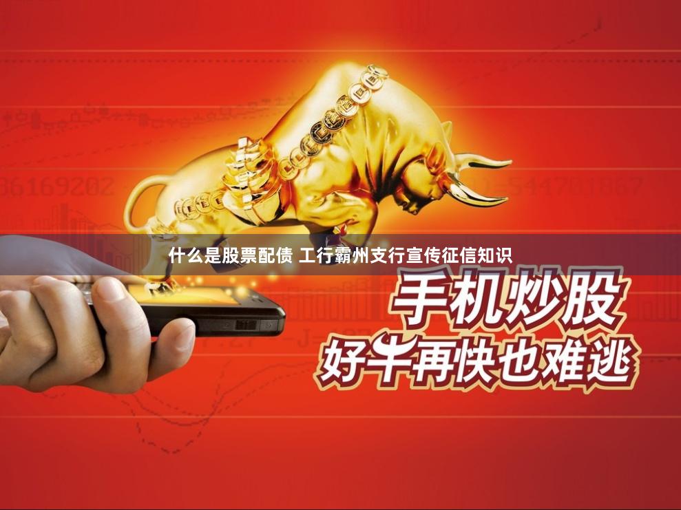 什么是股票配债 工行霸州支行宣传征信知识