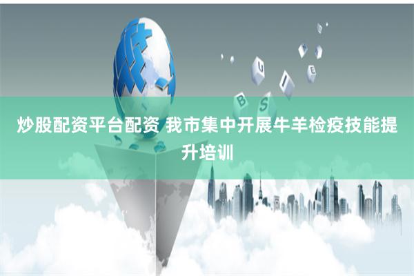 炒股配资平台配资 我市集中开展牛羊检疫技能提升培训