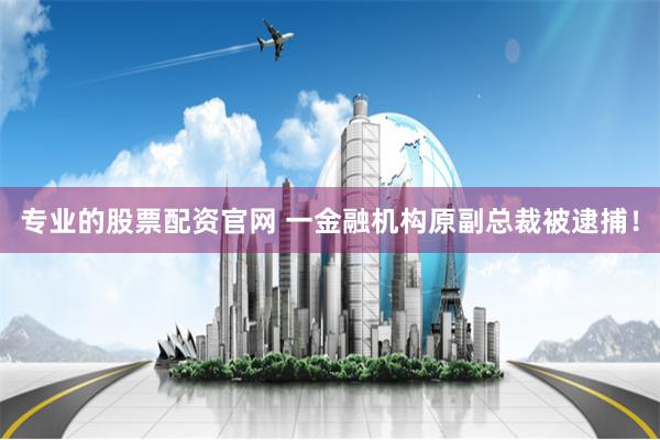 专业的股票配资官网 一金融机构原副总裁被逮捕！